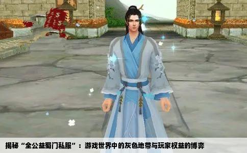 揭秘“全公益蜀门私服”：游戏世界中的灰色地带与玩家权益的博弈