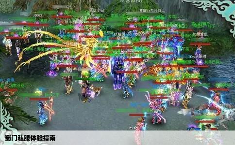 蜀门私服体验指南