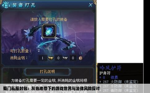 蜀门私服封包：灰色地带下的游戏世界与法律风险探讨