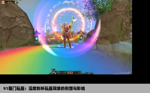 91蜀门私服：深度剖析私服现象的利弊与影响