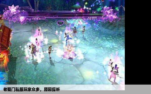 老蜀门私服玩家众多，原因探析