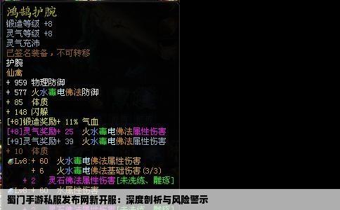 蜀门手游私服发布网新开服：深度剖析与风险警示