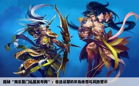 揭秘“南瓜蜀门私服发布网”：非法运营的灰色地带与风险警示