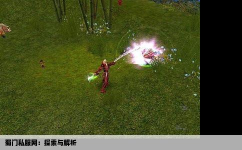 蜀门私服网：探索与解析