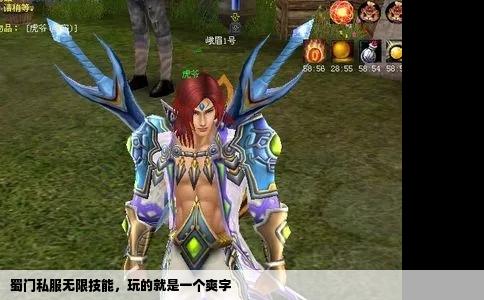 蜀门私服无限技能，玩的就是一个爽字