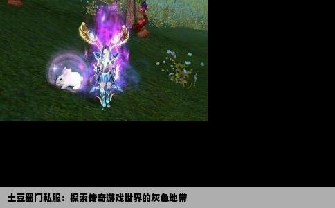 土豆蜀门私服：探索传奇游戏世界的灰色地带